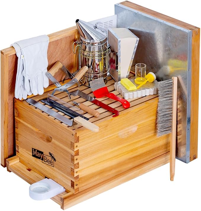 MayBee 10-Frame Beehive Starter Kit